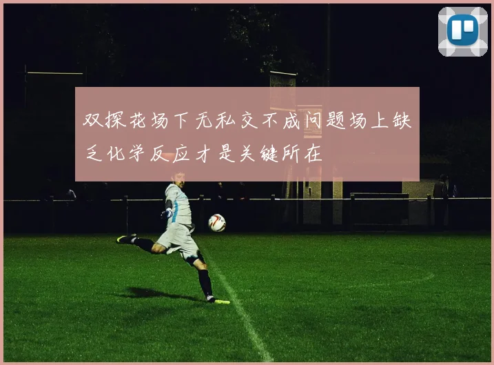 双探花场下无私交不成问题场上缺乏化学反应才是关键所在